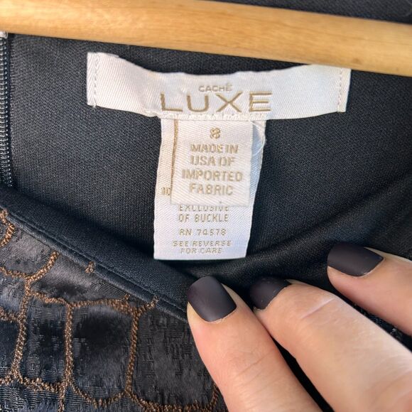 Cache Luxe Sleeveless Belted Contouring Dress - Picture 4 of 9